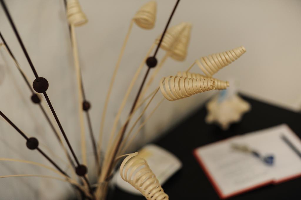 Casa Felicidad Apartment プレヤデルカーメン 部屋 写真
