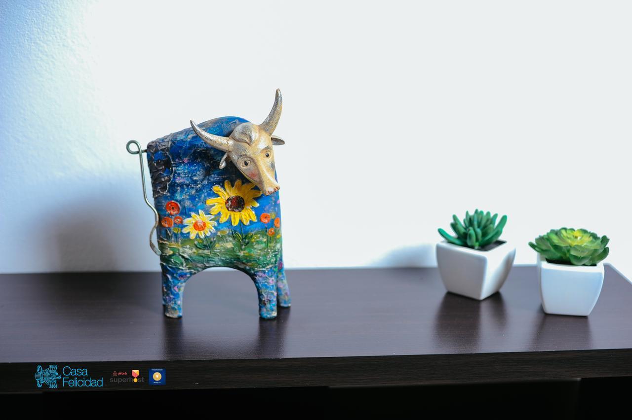 Casa Felicidad Apartment プレヤデルカーメン 部屋 写真